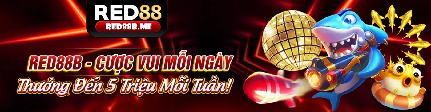Khuyến mãi và ưu đãi cá cược thể thao 8kbe nhà cái